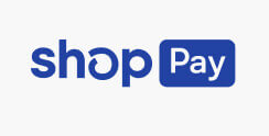 Payment