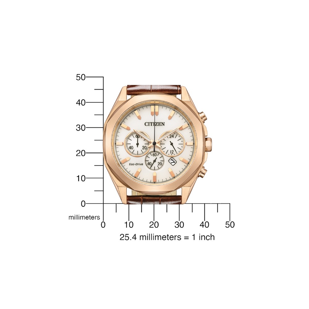 CITIZEN Mod. CA4593-15A