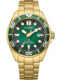 CITIZEN Mod. BN0262-59W