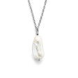 CO88 COLLECTION Mod. 8CN-26255