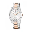 FESTINA WATCHES Mod. F20620/1