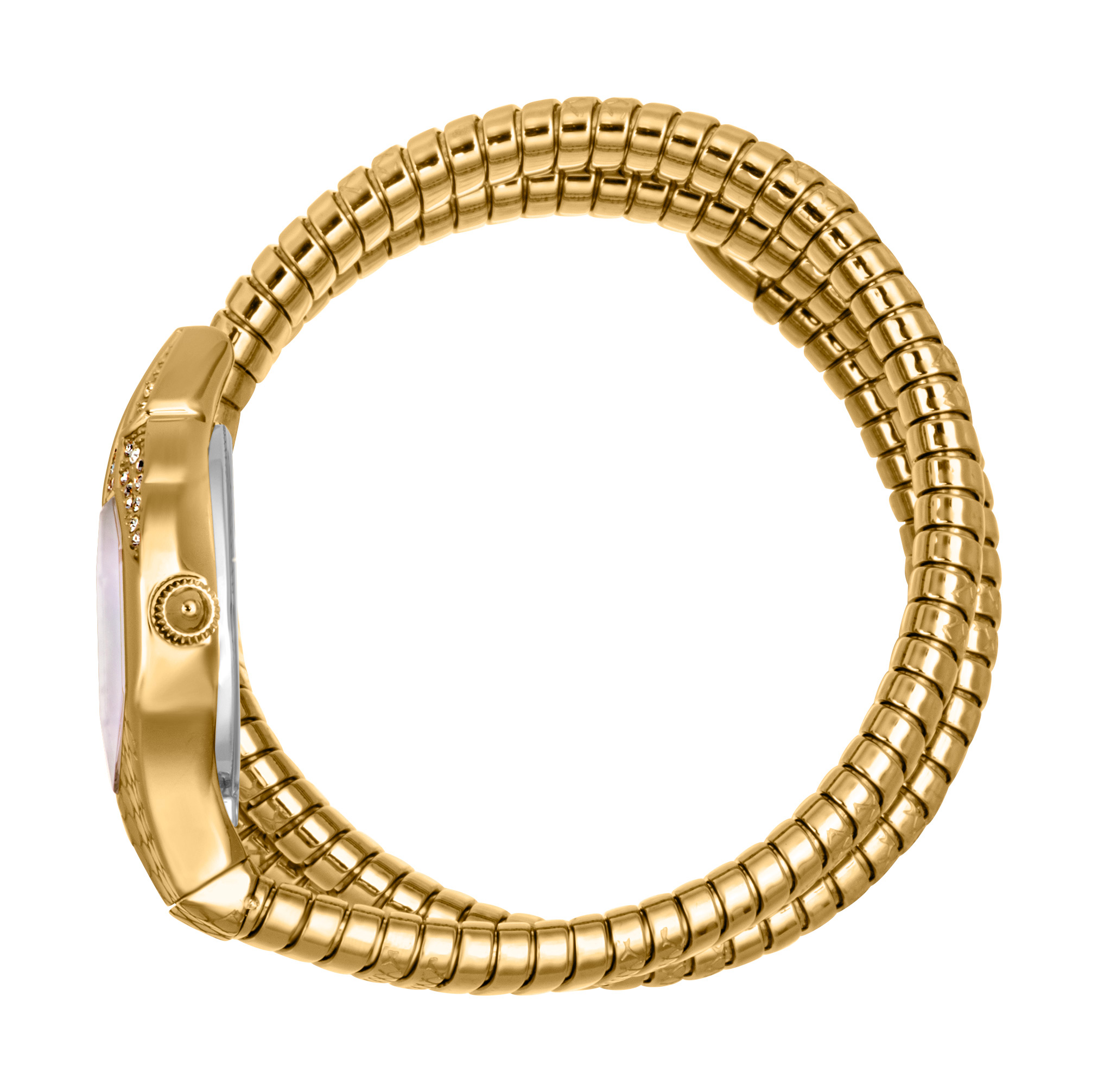 JUST CAVALLI Mod. JC1L193M0025
