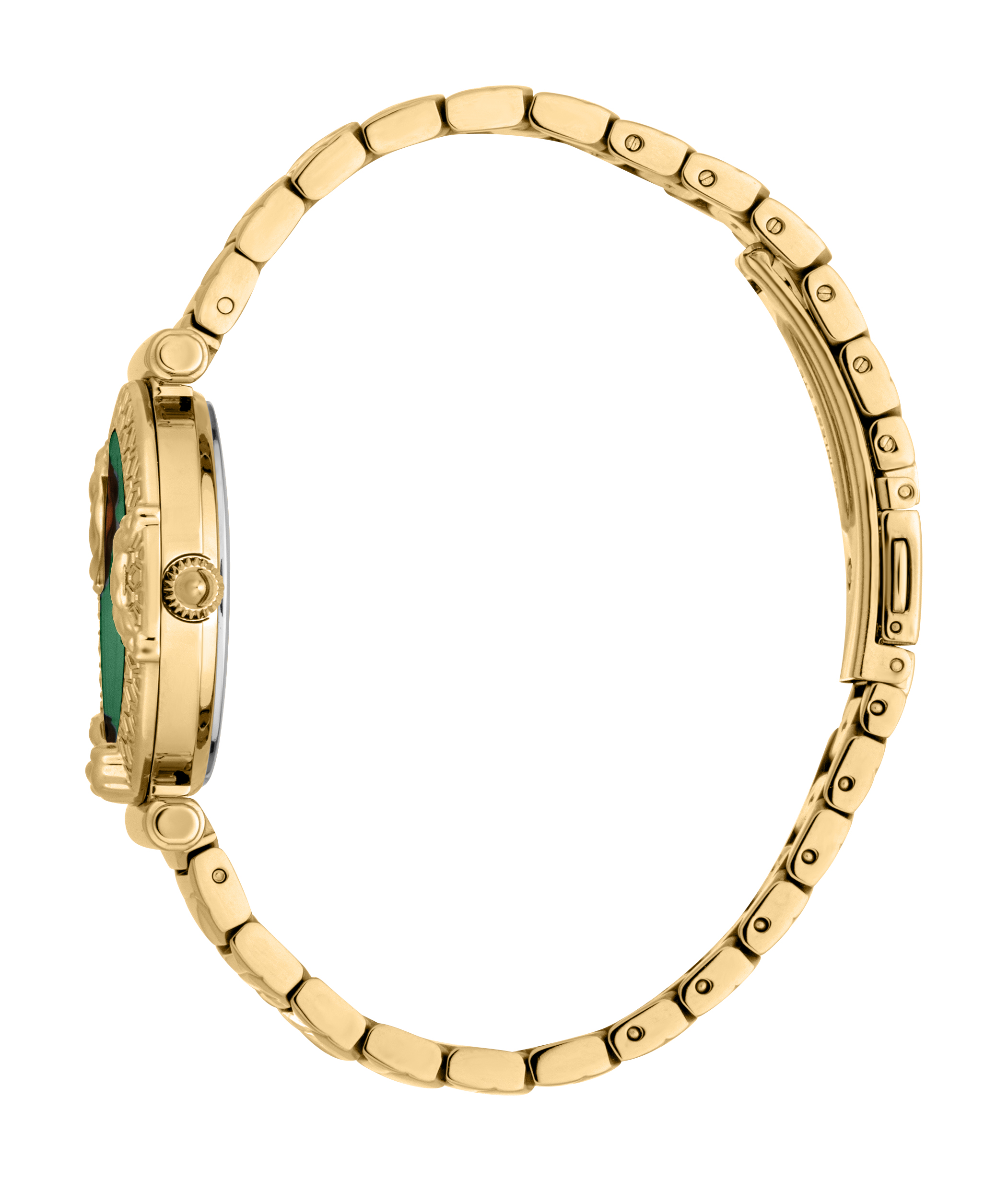 JUST CAVALLI MOD. JC1L234M0235