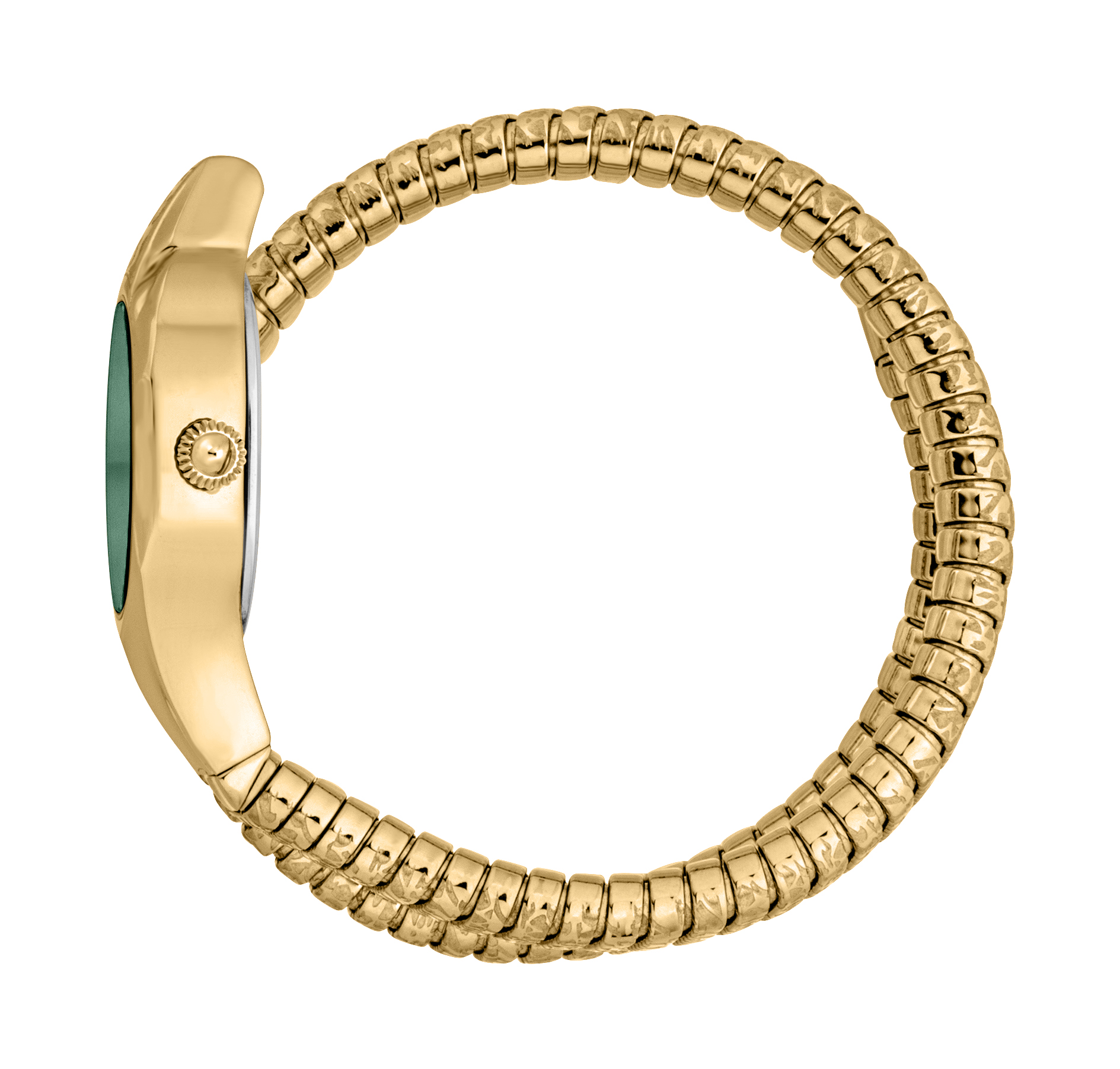 JUST CAVALLI Mod. SIGNATURE SNAKE AMALFI