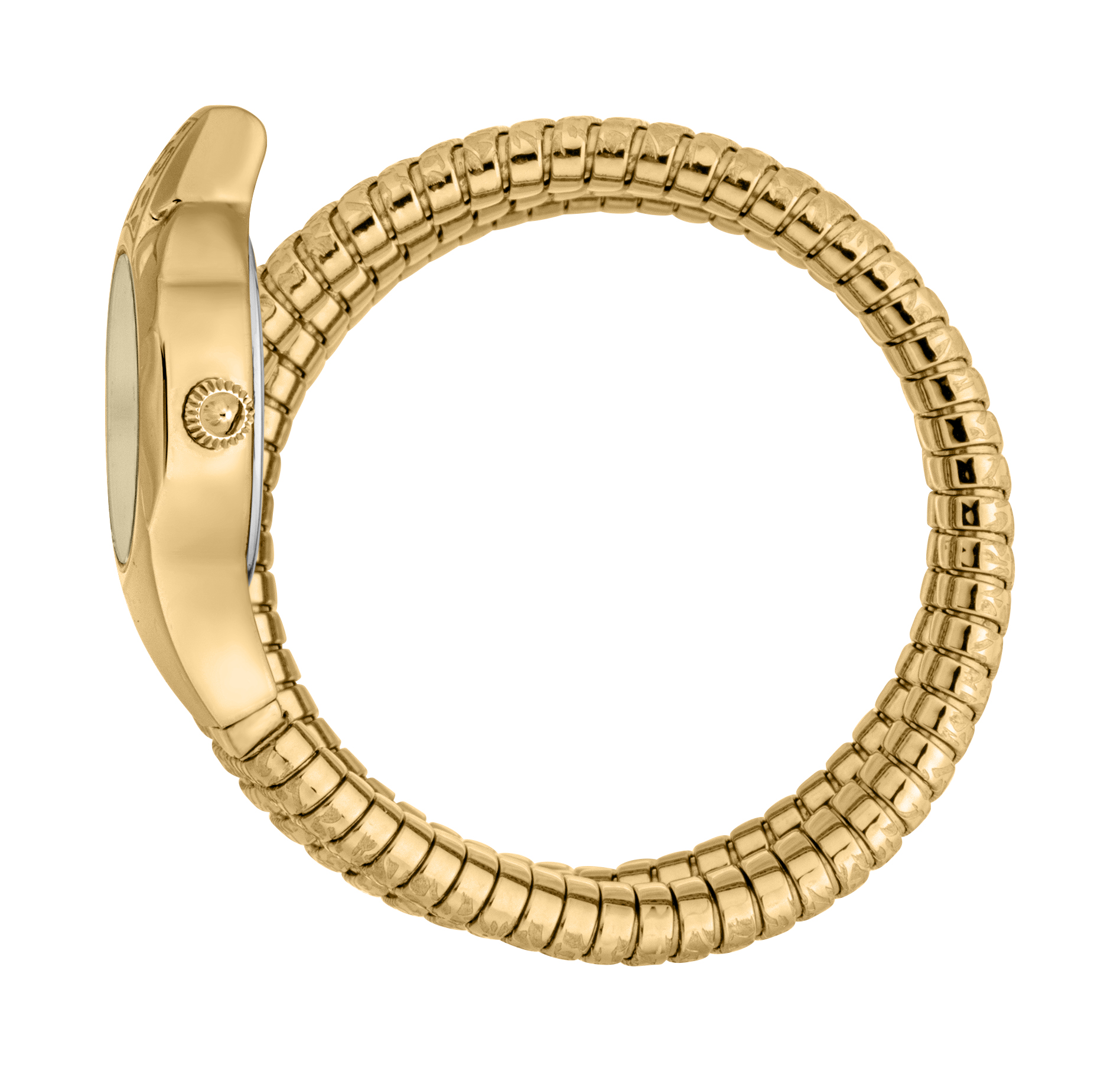 Just Cavalli Mod. Snake