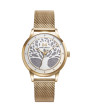WHOLESALE_MARK MADDOX - NEW COLLECTION Mod. 55_MM7143-27