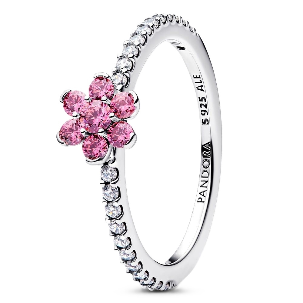 PANDORA JEWELRY Mod. 194499C02-54