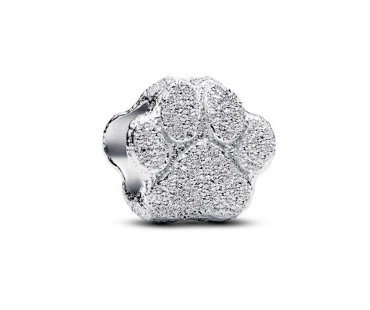 PANDORA Mod. 794043C00