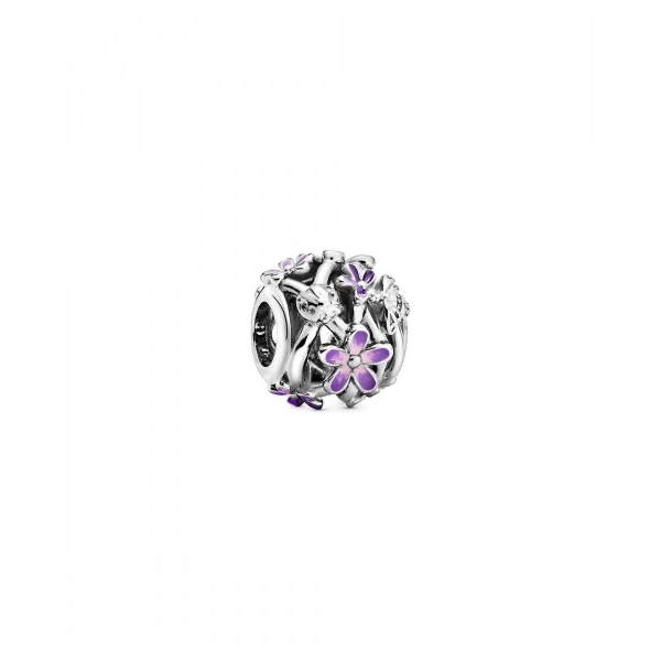 PANDORA Mod. 798772C02