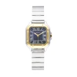 RADIANT WATCHES Mod. RA661206