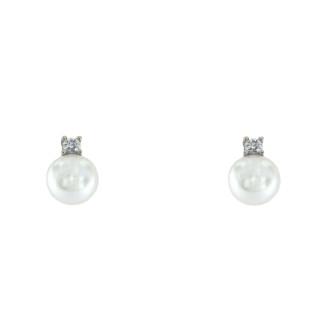 SENSE Mod. SSG-5-196-1-1