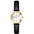 STROILI Mod. 1698367