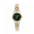 STROILI Mod. 1700539