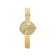 STROILI Mod. 1702807