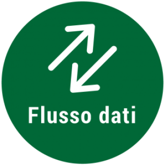 DATA FLOWS SERVICE 3 Mesi/ Months