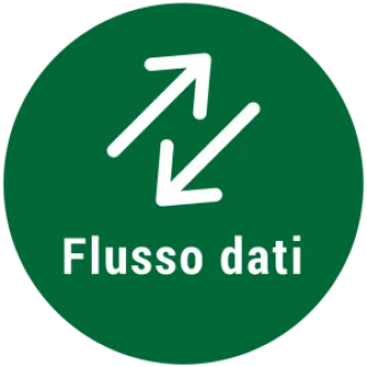 DATA FLOWS SERVICE 3 Mesi/ Months
