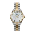 TIMEX WATCHES Mod. TW2W85500