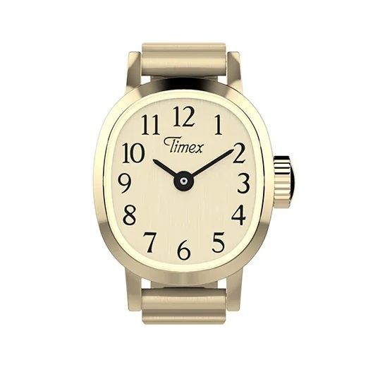 TIMEX WATCHES Mod. TW2Y70800